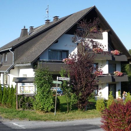 Ferienwohnungen Landhaus Meran Inkl Meinecardplus Willingen  Exterior photo