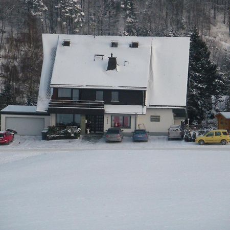 Ferienwohnungen Landhaus Meran Inkl Meinecardplus Willingen  Exterior photo