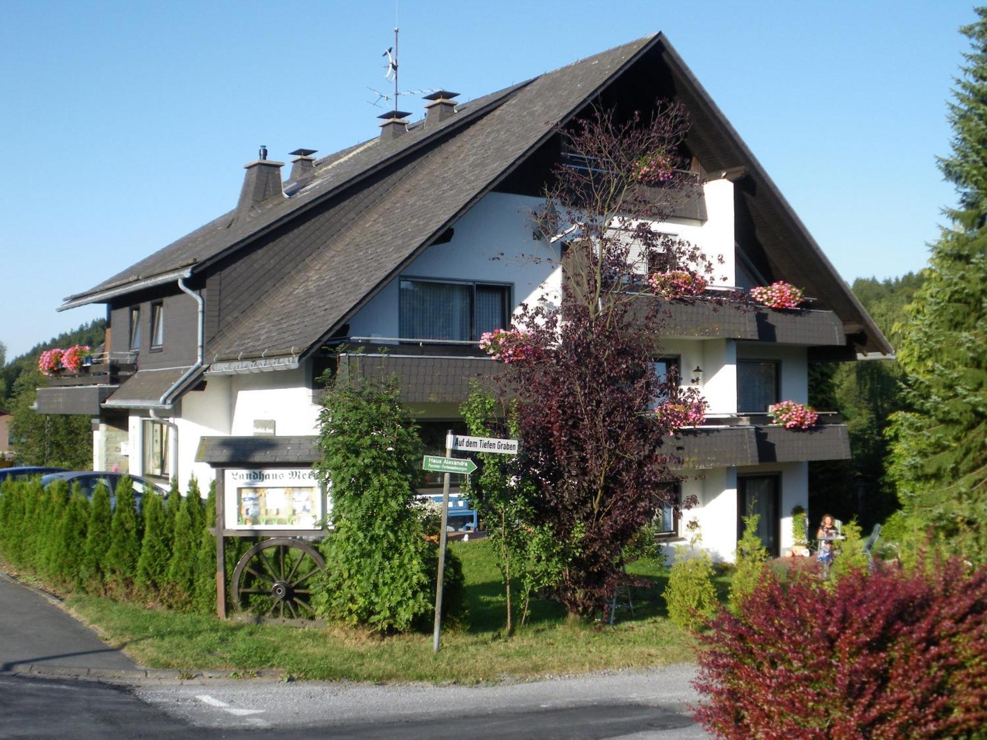 Ferienwohnungen Landhaus Meran Inkl Meinecardplus Willingen  Exterior photo