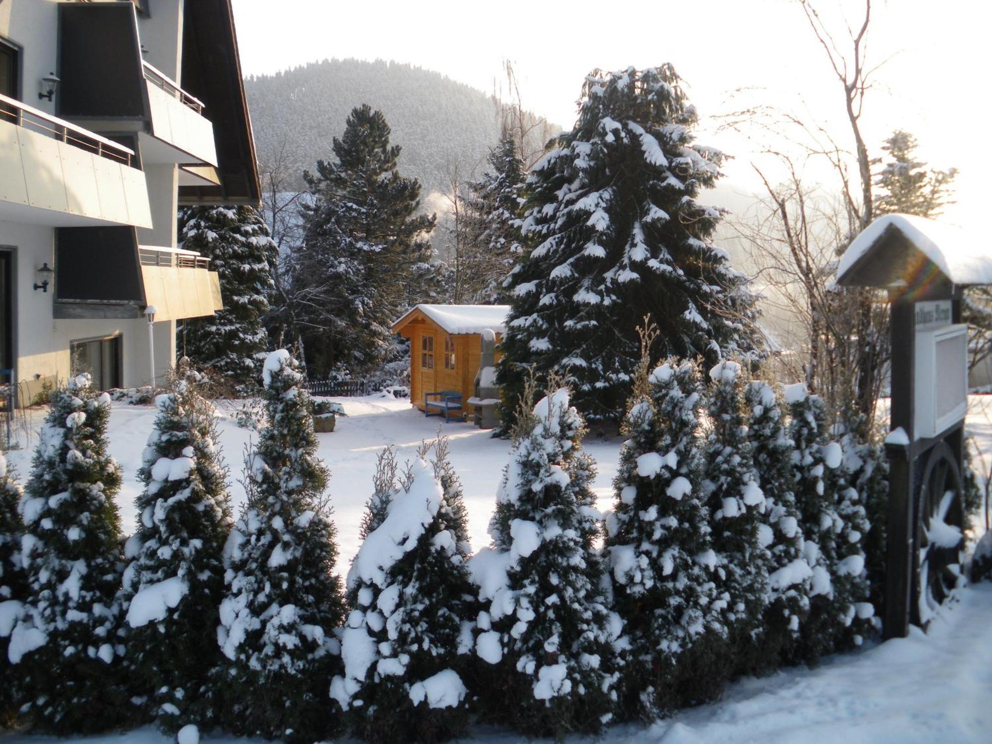 Ferienwohnungen Landhaus Meran Inkl Meinecardplus Willingen  Exterior photo