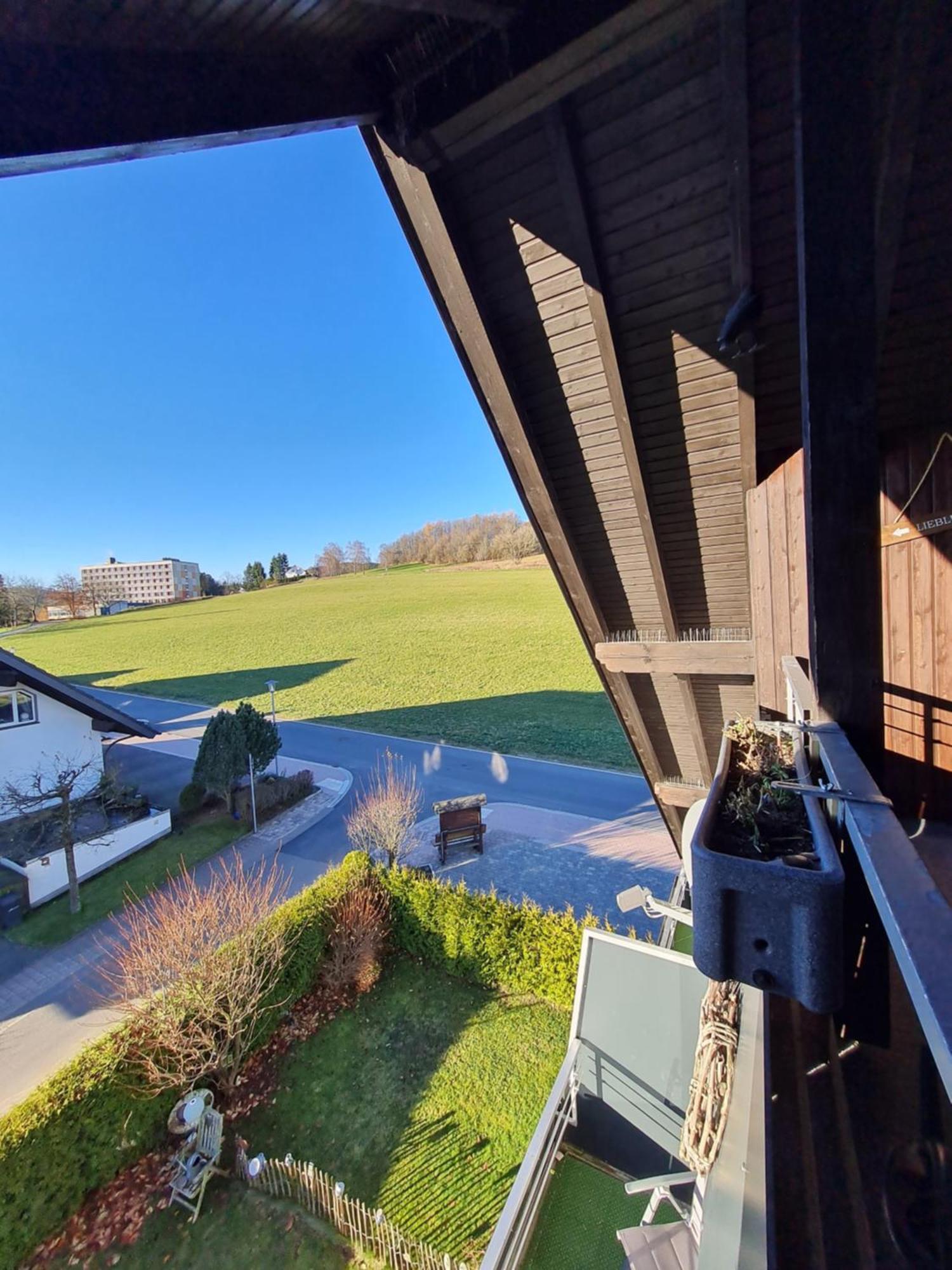 Ferienwohnungen Landhaus Meran Inkl Meinecardplus Willingen  Exterior photo