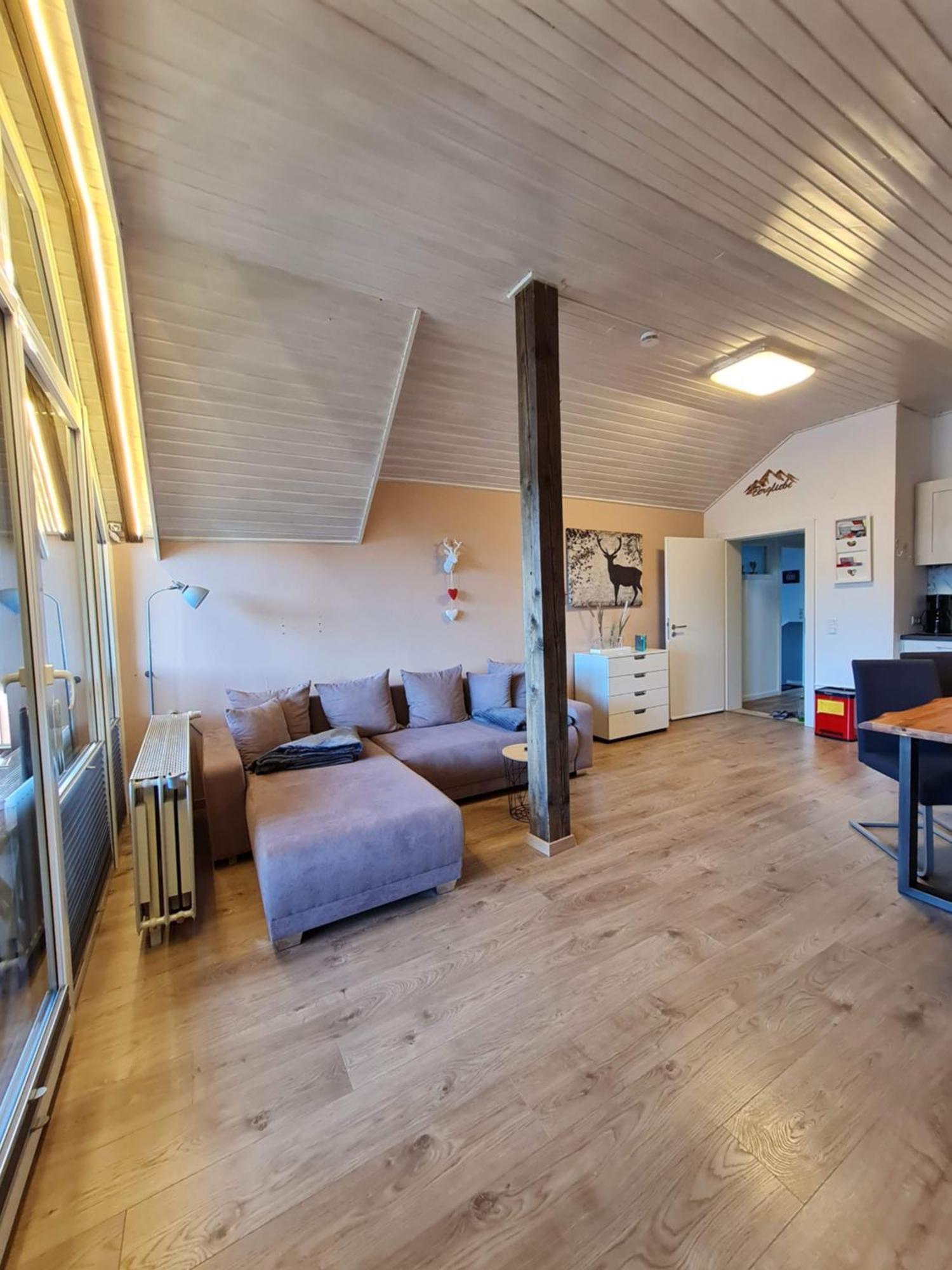 Ferienwohnungen Landhaus Meran Inkl Meinecardplus Willingen  Exterior photo