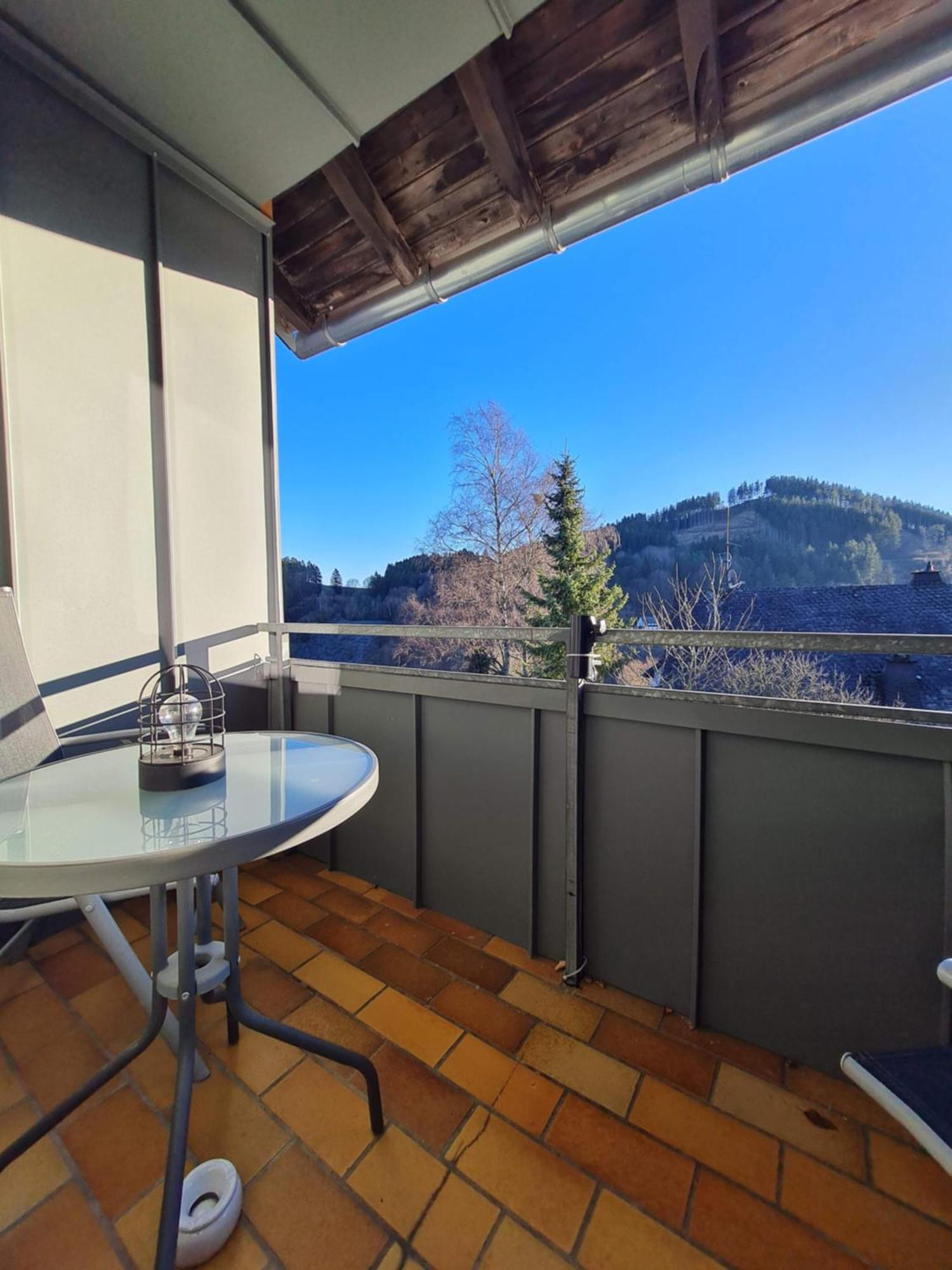 Ferienwohnungen Landhaus Meran Inkl Meinecardplus Willingen  Exterior photo